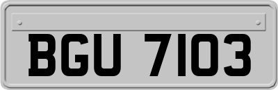 BGU7103