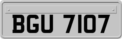 BGU7107