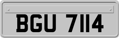 BGU7114
