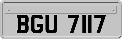 BGU7117