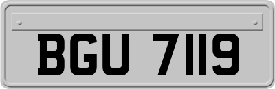 BGU7119