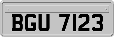BGU7123