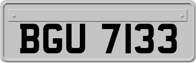 BGU7133