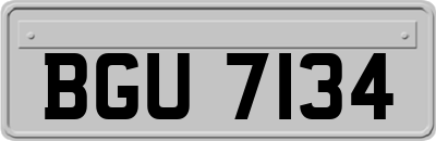 BGU7134