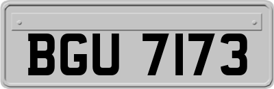 BGU7173