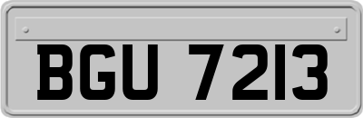BGU7213