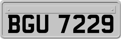 BGU7229