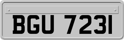 BGU7231