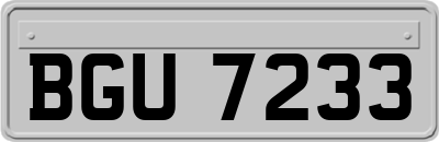 BGU7233