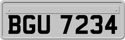 BGU7234