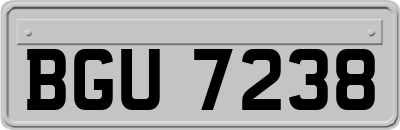 BGU7238