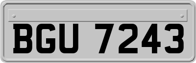 BGU7243