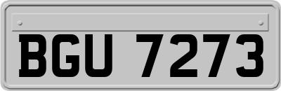 BGU7273