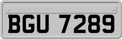BGU7289