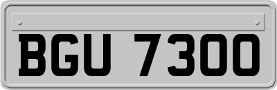BGU7300