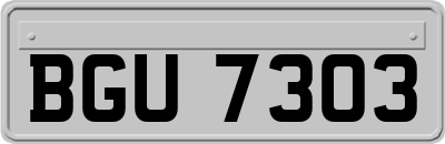 BGU7303