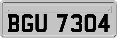 BGU7304