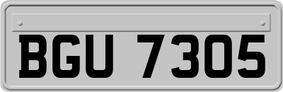 BGU7305