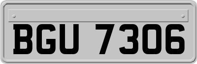 BGU7306