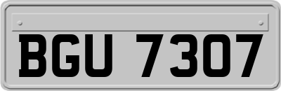BGU7307