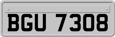 BGU7308