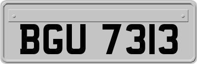BGU7313
