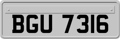 BGU7316