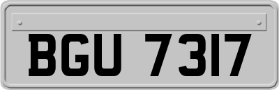 BGU7317