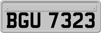 BGU7323