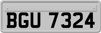 BGU7324