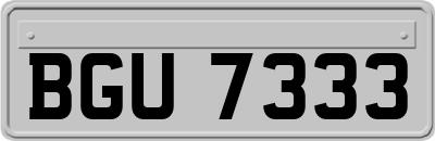 BGU7333
