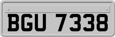 BGU7338