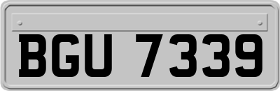 BGU7339