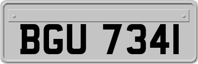 BGU7341