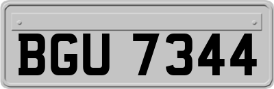 BGU7344