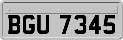 BGU7345