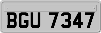 BGU7347