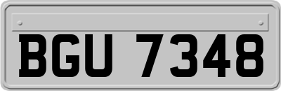 BGU7348