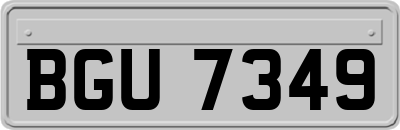 BGU7349