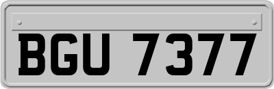 BGU7377