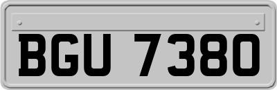 BGU7380