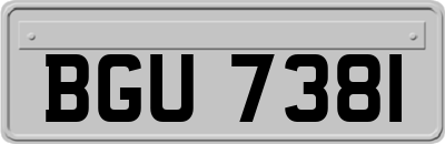 BGU7381