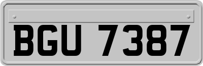BGU7387