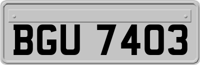BGU7403