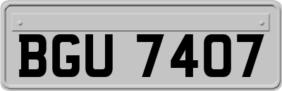 BGU7407