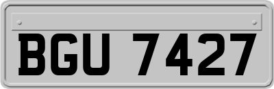 BGU7427