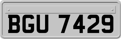 BGU7429