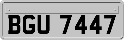 BGU7447