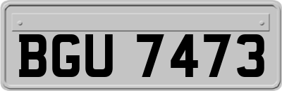 BGU7473