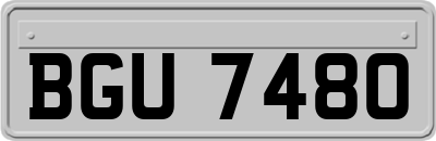 BGU7480